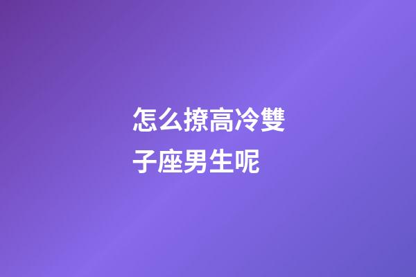 怎么撩高冷雙子座男生呢-第1張-星座運勢-玄機派