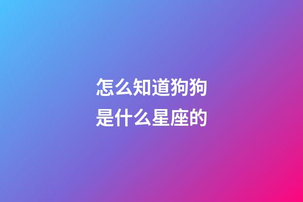怎么知道狗狗是什么星座的-第1張-星座運勢-玄機派