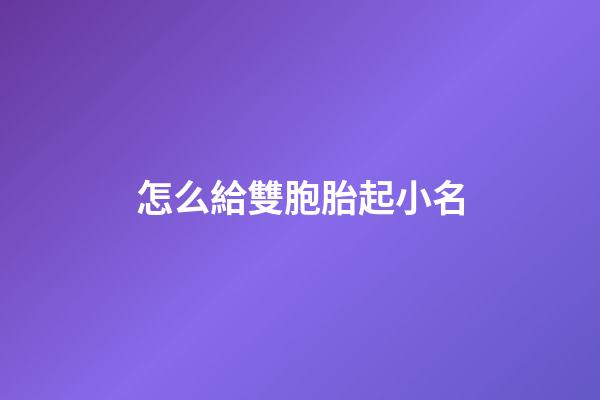 怎么給雙胞胎起小名(怎么給雙胞胎起名字)-第1張-寶寶起名-玄機派