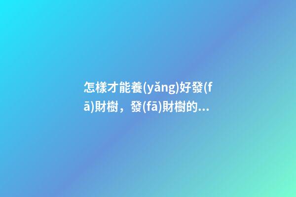 怎樣才能養(yǎng)好發(fā)財樹，發(fā)財樹的正確養(yǎng)殖辦法-第1張-觀點-玄機派