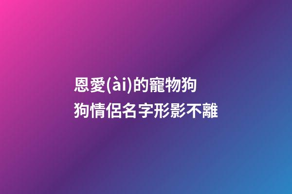 恩愛(ài)的寵物狗狗情侶名字形影不離
