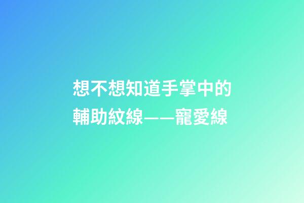 想不想知道手掌中的輔助紋線——寵愛線