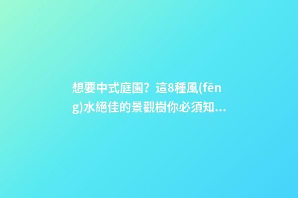 想要中式庭園？這8種風(fēng)水絕佳的景觀樹你必須知道