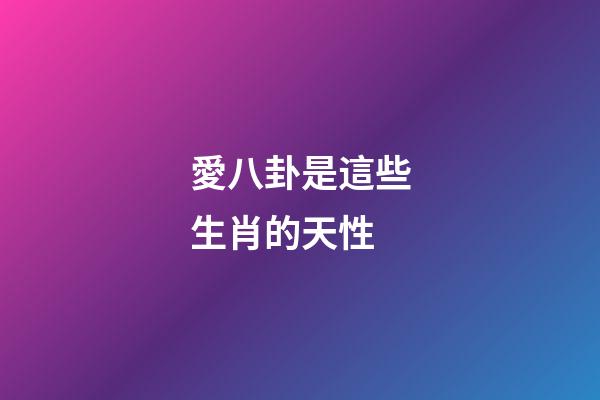 愛八卦是這些生肖的天性