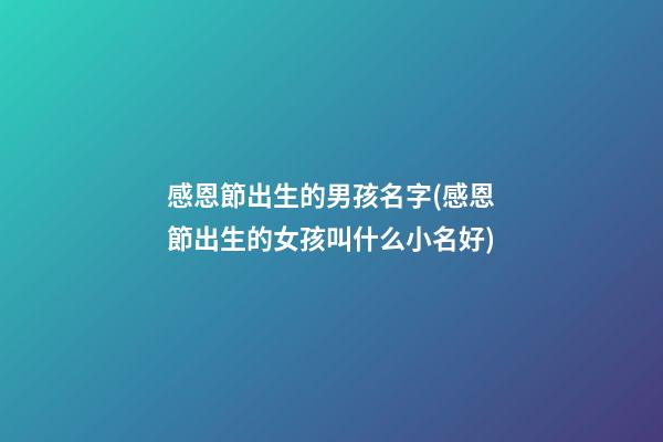 感恩節出生的男孩名字(感恩節出生的女孩叫什么小名好)