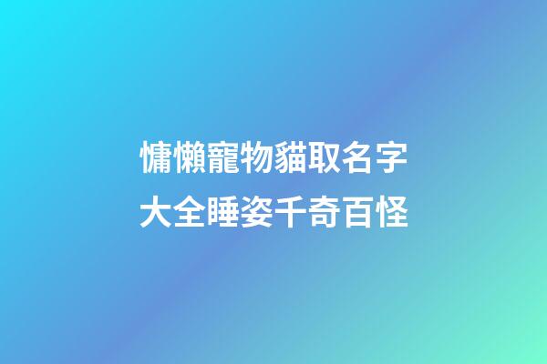慵懶寵物貓取名字大全睡姿千奇百怪