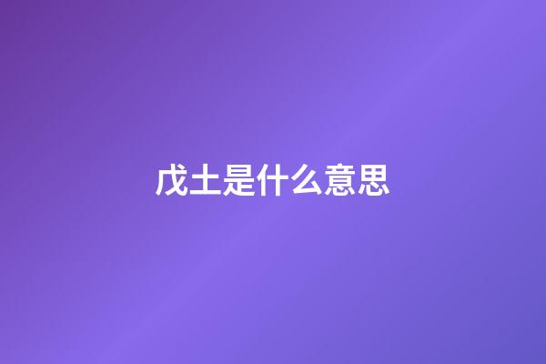 戊土是什么意思