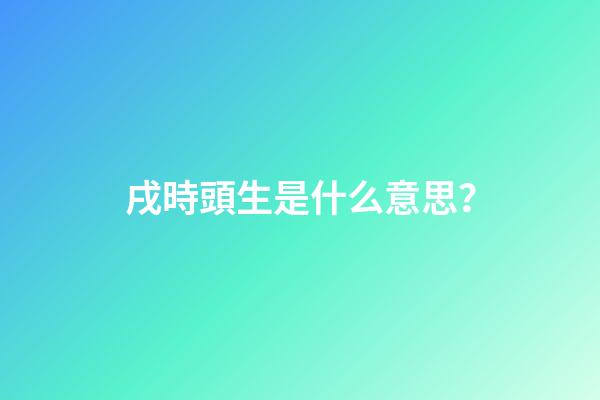 戌時頭生是什么意思？