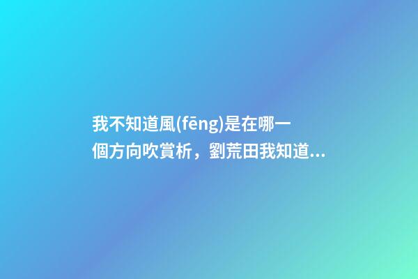 我不知道風(fēng)是在哪一個方向吹賞析，劉荒田我知道風(fēng)是在哪一個方向吹