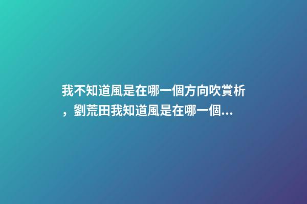 我不知道風是在哪一個方向吹賞析，劉荒田我知道風是在哪一個方向吹-第1張-觀點-玄機派
