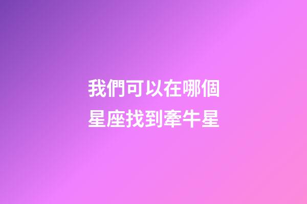 我們可以在哪個星座找到牽牛星-第1張-星座運勢-玄機派
