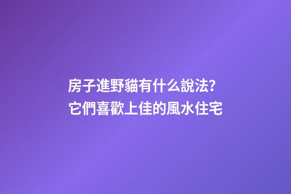 房子進野貓有什么說法？它們喜歡上佳的風水住宅