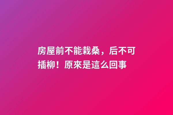 房屋前不能栽桑，后不可插柳！原來是這么回事