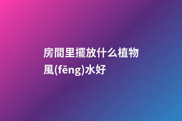 房間里擺放什么植物風(fēng)水好