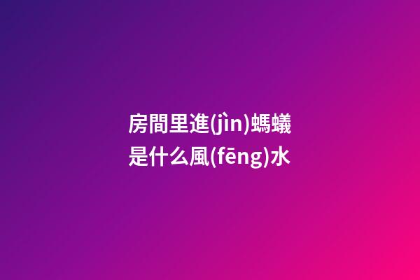 房間里進(jìn)螞蟻是什么風(fēng)水
