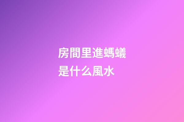房間里進螞蟻是什么風水