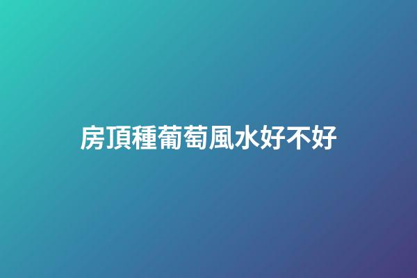 房頂種葡萄風水好不好