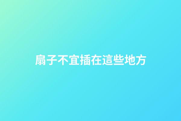 扇子不宜插在這些地方