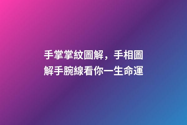 手掌掌紋圖解，手相圖解手腕線看你一生命運-第1張-觀點-玄機派