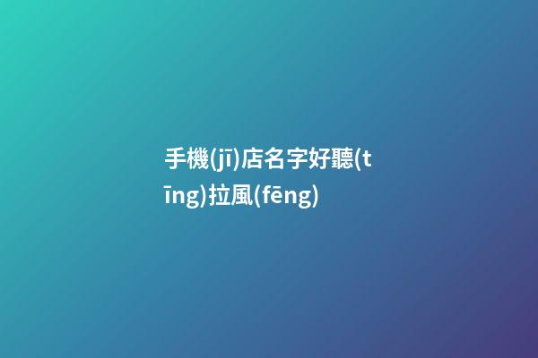 手機(jī)店名字好聽(tīng)拉風(fēng)