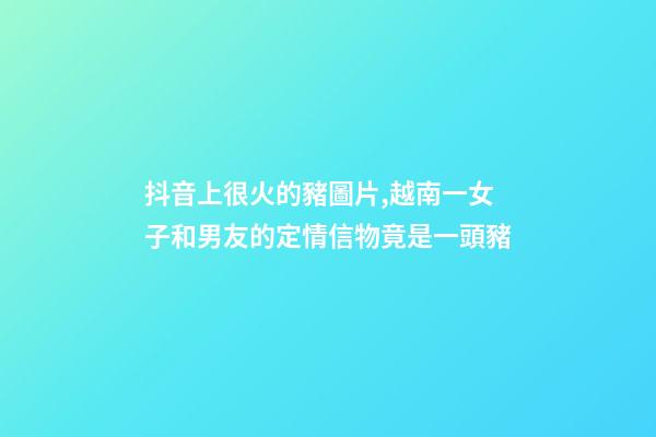 抖音上很火的豬圖片,越南一女子和男友的定情信物竟是一頭豬-第1張-觀點-玄機派