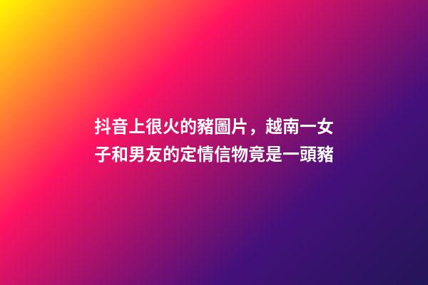 抖音上很火的豬圖片，越南一女子和男友的定情信物竟是一頭豬-第1張-觀點-玄機派