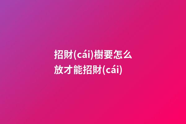 招財(cái)樹要怎么放才能招財(cái)