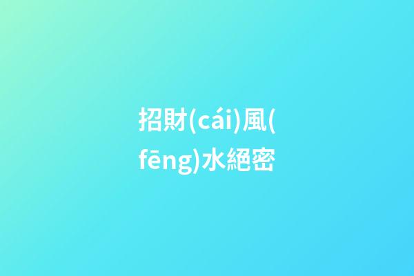 招財(cái)風(fēng)水絕密