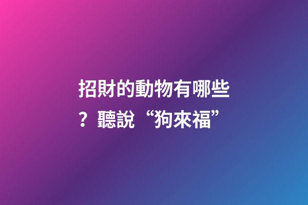 招財的動物有哪些？聽說“狗來福”