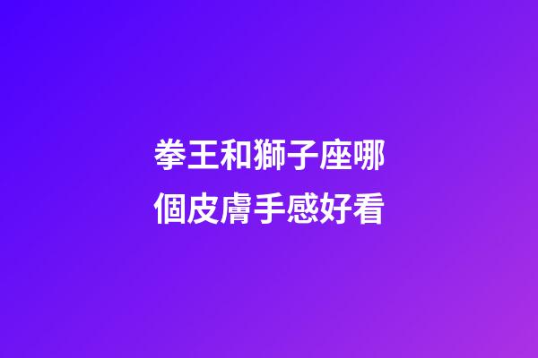 拳王和獅子座哪個皮膚手感好看-第1張-星座運(yùn)勢-玄機(jī)派