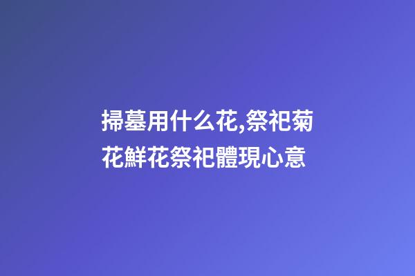 掃墓用什么花,祭祀菊花鮮花祭祀體現心意-第1張-觀點-玄機派