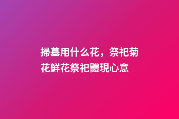 掃墓用什么花，祭祀菊花鮮花祭祀體現心意-第1張-觀點-玄機派
