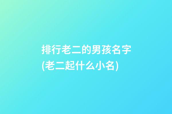 排行老二的男孩名字(老二起什么小名)