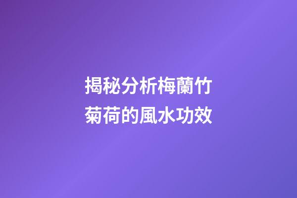 揭秘分析梅蘭竹菊荷的風水功效