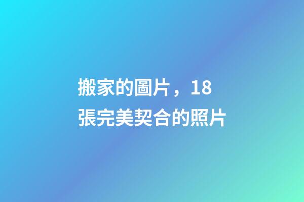 搬家的圖片，18張完美契合的照片-第1張-觀點-玄機派