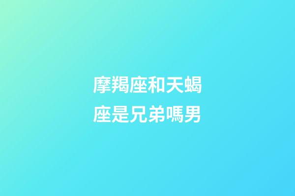 摩羯座和天蝎座是兄弟嗎男-第1張-星座運勢-玄機派