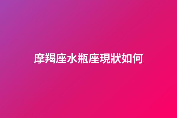 摩羯座水瓶座現狀如何-第1張-星座運勢-玄機派
