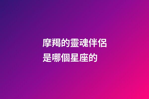 摩羯的靈魂伴侶是哪個星座的-第1張-星座運勢-玄機派