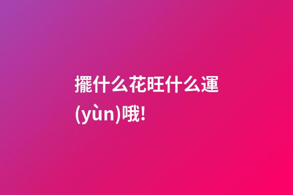 擺什么花旺什么運(yùn)哦!