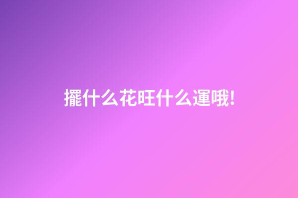 擺什么花旺什么運哦!