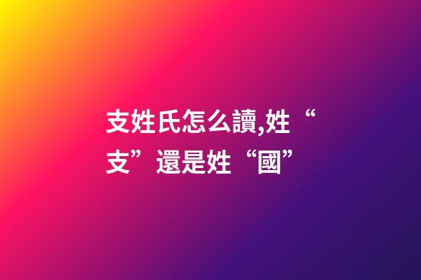 支姓氏怎么讀,姓“支”還是姓“國”-第1張-觀點-玄機派