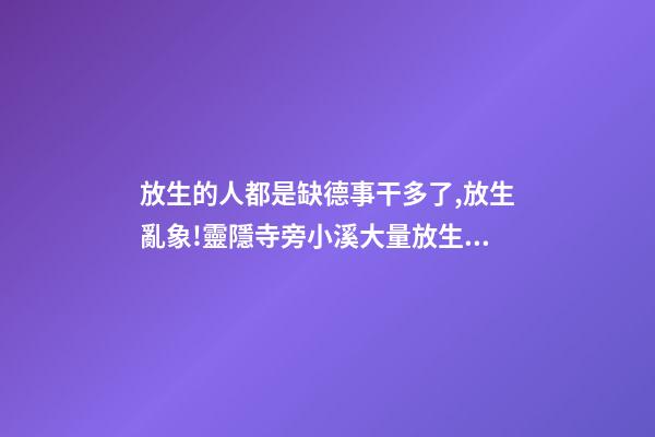 放生的人都是缺德事干多了,放生亂象!靈隱寺旁小溪大量放生烏龜死亡-第1張-觀點(diǎn)-玄機(jī)派