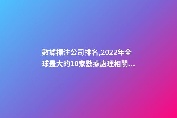 數據標注公司排名,2022年全球最大的10家數據處理相關的創業公司-第1張-觀點-玄機派
