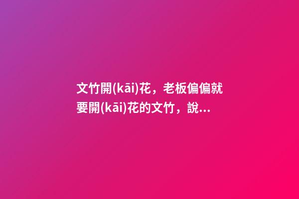 文竹開(kāi)花，老板偏偏就要開(kāi)花的文竹，說(shuō)風(fēng)水好，植物與風(fēng)水講究多