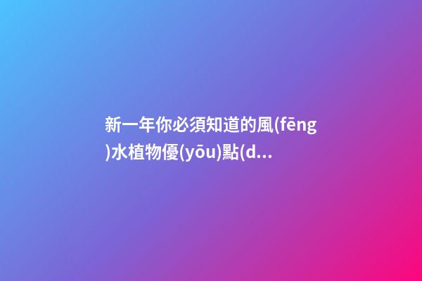 新一年你必須知道的風(fēng)水植物優(yōu)點(diǎn)