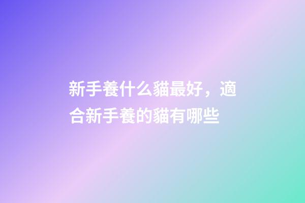新手養什么貓最好，適合新手養的貓有哪些-第1張-觀點-玄機派