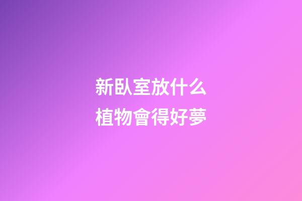 新臥室放什么植物會得好夢