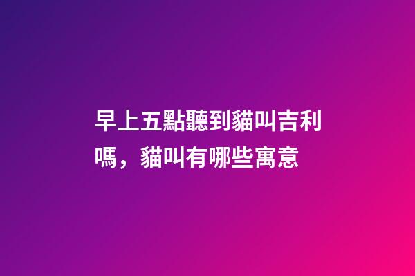 早上五點聽到貓叫吉利嗎，貓叫有哪些寓意
