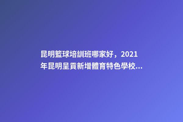 昆明籃球培訓班哪家好，2021年昆明呈貢新增體育特色學校9所-第1張-觀點-玄機派