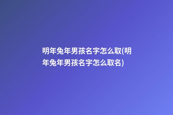 明年兔年男孩名字怎么取(明年兔年男孩名字怎么取名)
